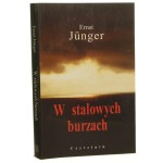 w stalowych burzach (1).JPG