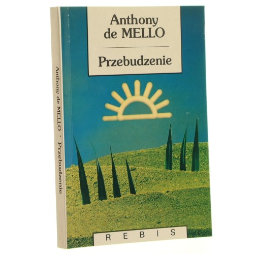 przebudzenie mello (1).JPG