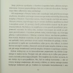 prawie nic czapski (4).JPG