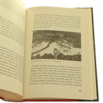 Dziennik jeszcze jedno zdanie (4).JPG