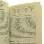 warzywnictwo (5).JPG