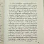 synody diecezji (4).JPG