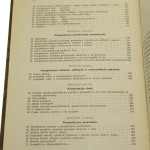 perspektywa malarska (4).JPG