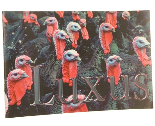 luxus.JPG