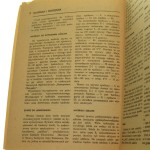 deska żaglowa (3).JPG