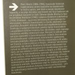 królowie (2).JPG