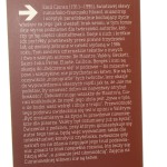 ćwiczenia (3).JPG