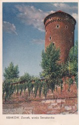 Kraków Zamek wieża Senatorska [pocztówka / przed 1939]
