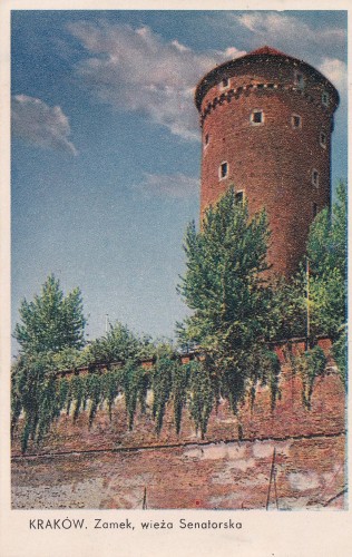 Kraków zamek wieża senatorska (1).jpg