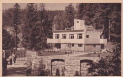 Krynica Dyrektorówka. Domek Pana Prezydenta [pocztówka / przed 1939]