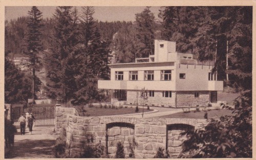 polska krynica (1).jpg