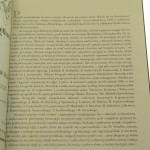 Przedwojenna polska (2).JPG