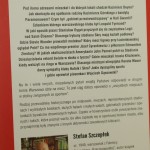 warszawa idzie na mecz (2).JPG