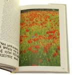 piegi na katar (4).JPG