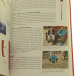 być jak pągowski (7).JPG