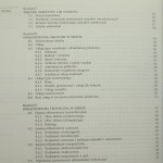 teoria urbanistyki (3).JPG