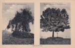 racławice (1).jpg