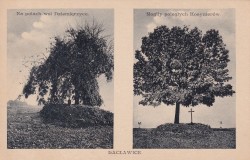 Racławice na polach wsi Dziemięrzyce Mogiły poległych kosynierów [pocztówka / przed 1939]