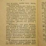 spostrzeżenia (4).JPG