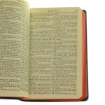 biblia święta (3).JPG