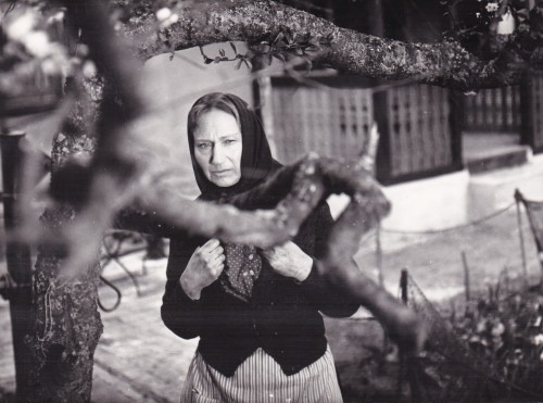 przystań reż Paweł Komorowski (7).jpg