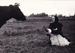 Prognoza pogody reż. Antoni Krauze [fotografia filmowa / ca 1982]