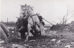 Lotna reż.  Andrzej Wajda [fotografia filmowa / ca 1959]  