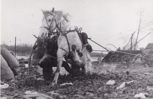 Lotna Adnrzej Wajda Fotografia Filmowa (15).jpg