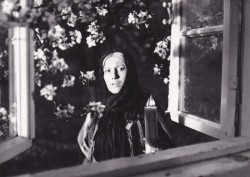 Brzezina [Emilia Krakowska] reż. Andrzej Wajda [fotografia filmowa / ca 1970]