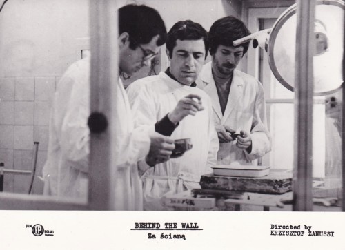 Za ścianą Zanussi (16).jpg