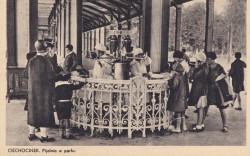 Ciechocinek Pijalnia w parku [pocztówka / przed 1939]