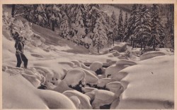 Tatry zamarznięty potok [pocztówka / przed 1939]