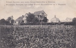 [Nieśwież] Folwark Zajezierze przy zamku Książąt Radziwiłłów w Nieświeżu [pocztówka / ca 1914]