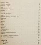 Sto mil przed brzegiem Marian Pankowski [1958] [pierwsze wydanie]