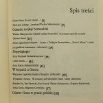trójkąt grass (2).JPG