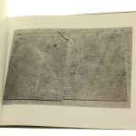 el mirage crawford (7).JPG