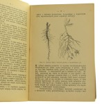 doświadczenia (4).JPG