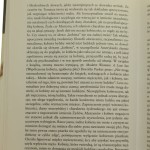 druga (4).JPG