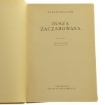 dusza (4).JPG