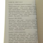 fałda (5).JPG