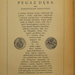 pegaz (3).JPG