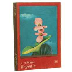 Begonie Alicja Górska [1975]