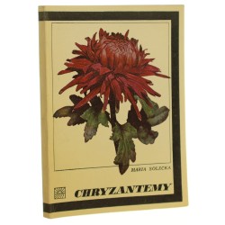 Chryzantemy Maria Solecka [1972]