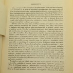 sztuka rosyjska (4).JPG