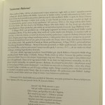 błękitna armia (3).JPG