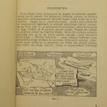 człowiek w locie (3).JPG