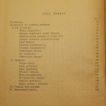 człowiek w locie (6).JPG