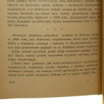 strategia (3).JPG