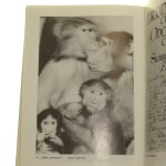 filolog axer (3).JPG