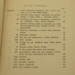 szkice prus bolesław (5).JPG